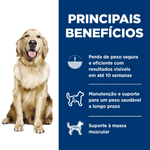 052742002019---foto-2.png