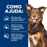 052742195704 - foto 3.png