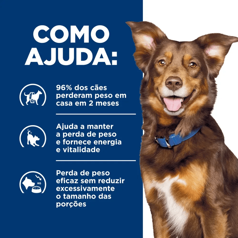 052742195704 - foto 3.png