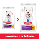 052742033181---foto-2.png