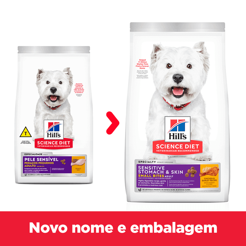 052742033181---foto-2.png
