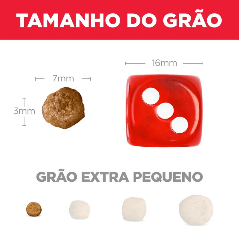 052742033181---foto-6.png
