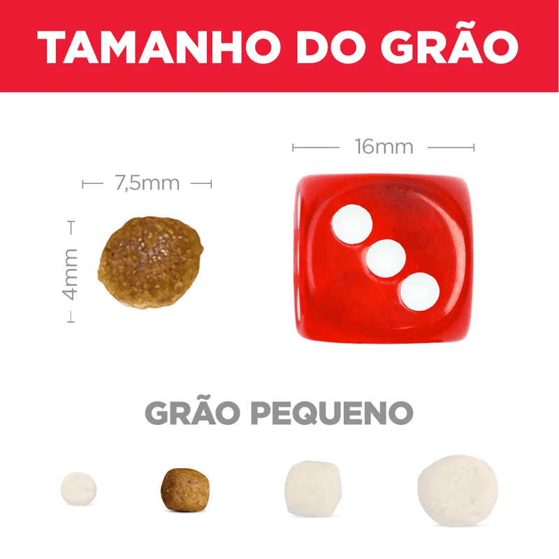 052742909608 - foto 5.png