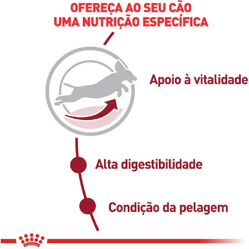 7908248302388---foto-2.png