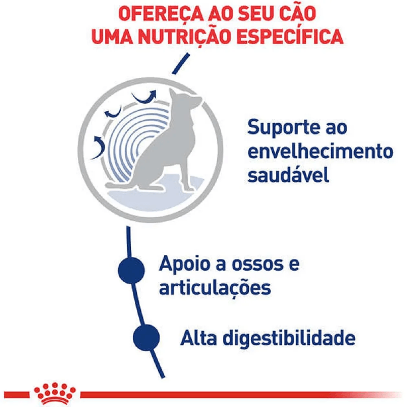 7908248302425-foto-2.png