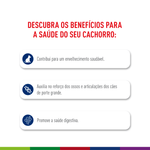7908248302425-foto-4.png