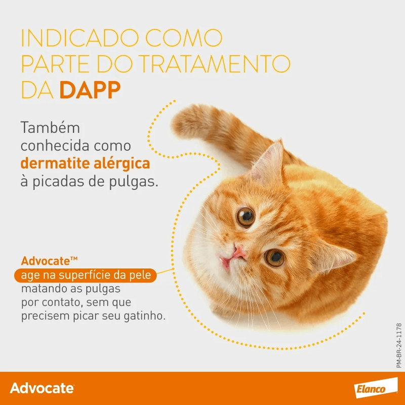 5420036924586 - foto 5.png