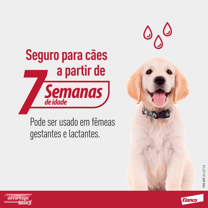 5420036914884 - foto 6.png