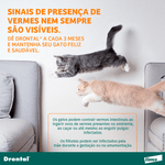 5420036915263 - foto 5.png