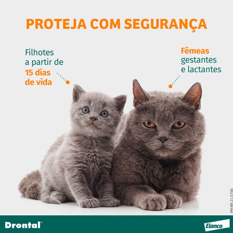 5420036915263 - foto 4.png