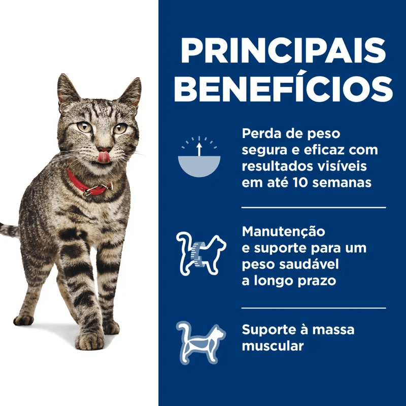 052742296807 - foto 2.png