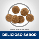 52742031958 - foto 5.png