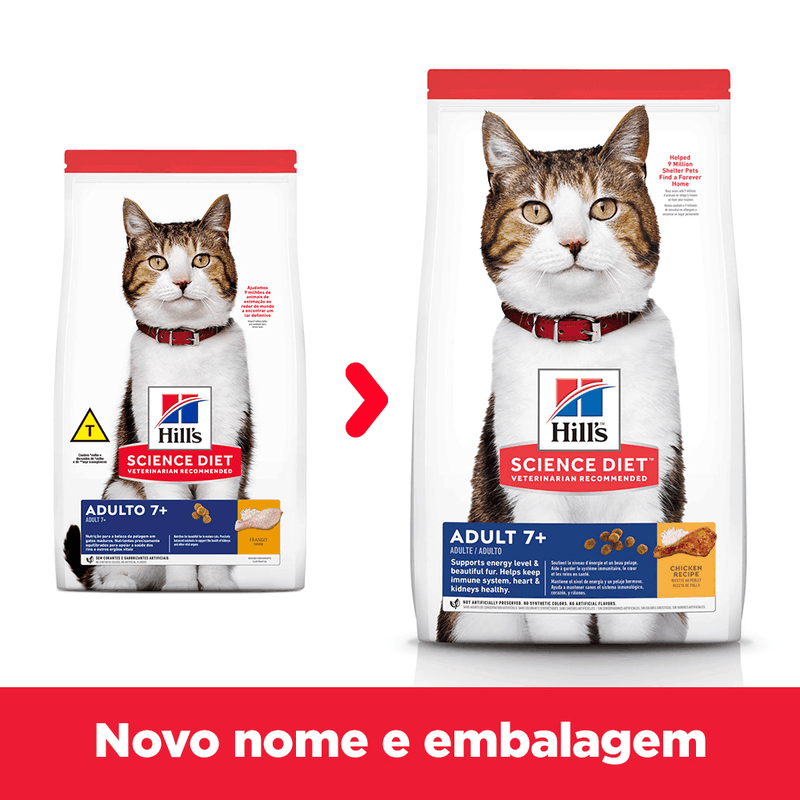 52742006451 - foto 1.png