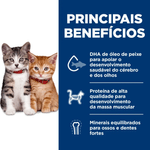 052742032771--foto-2.png