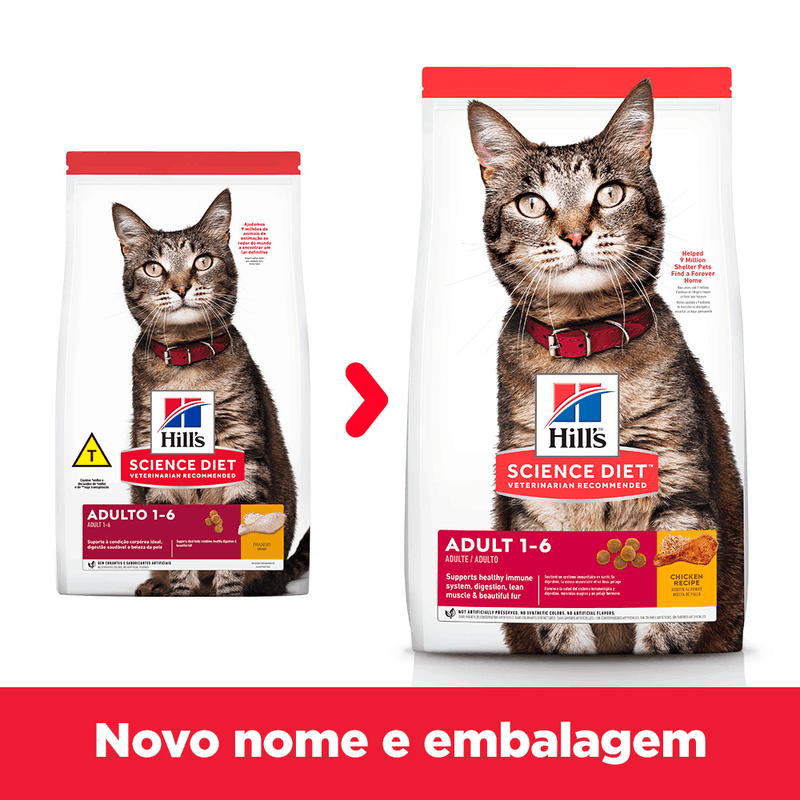 52742006437 - foto 1.png