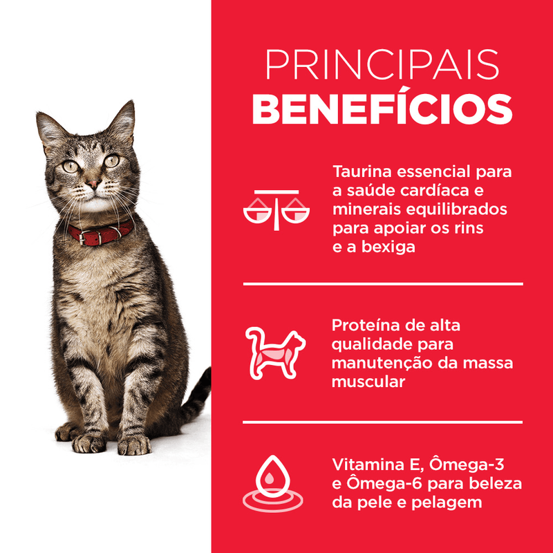 52742006437 - foto 4.png