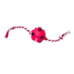 Bola Pata Osso Mini com Corda Petgrows