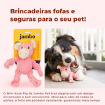 mini-pig