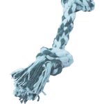corda-dental-bone---1
