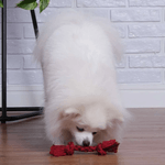 corda-dental-bone