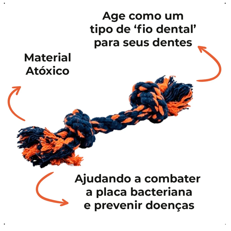 corda-dental-bone---2