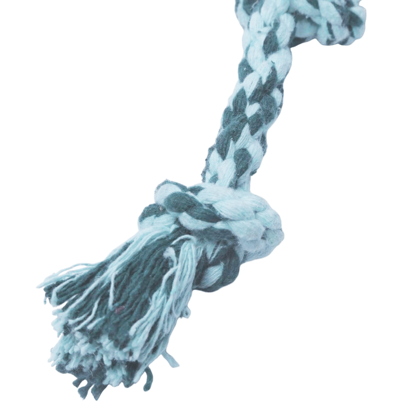 corda-dental-bone---1