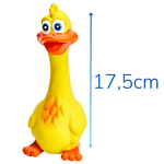 patex - 2
