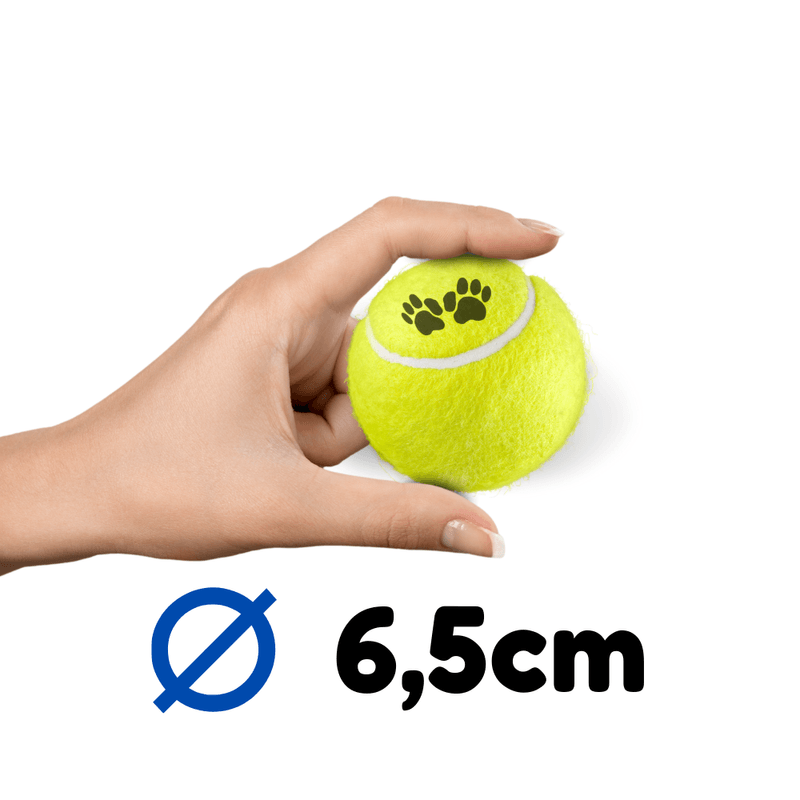 bola-de-tenis---foto-1