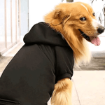 7891234789007---foto-2.png