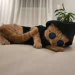 7891234789007---foto-1.png